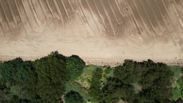 Drone footage over newly plowed field with native tree fence and a power line. Bacchus Marsh, Victoria, Australia