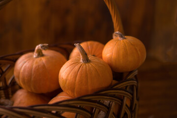 Autumn small orange pumpkin on a wooden table, the harvest, the symbol of Halloween