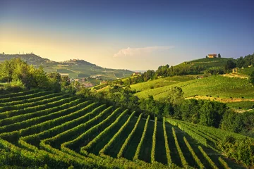 Tuinposter Langhe wijngaarden bekijken, Barolo en La Morra, Piemonte, Italië Europa. © stevanzz