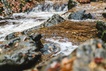 Rivière en forêt Ardennaise 2