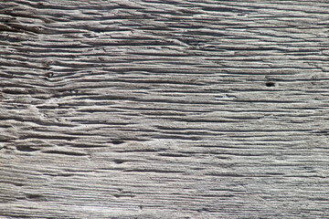 natural wood plank with very marked veins.