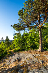 Kuhavuori mount in Sortavala