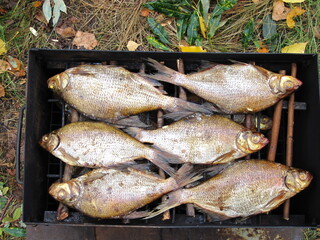 Fish cooked in grill