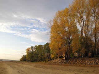 autumn landscape with trees