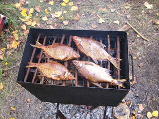 grilled fish on the grill