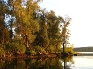 autumn trees reflected in water