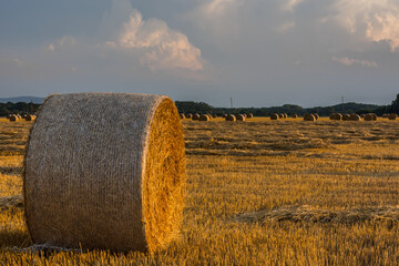 straw bale and many others in a landscape while sunset