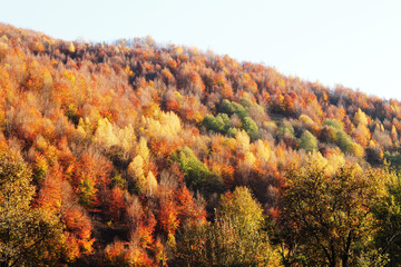 Fototapeta premium autumn in the mountains
