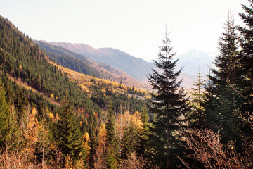 sunset in the mountains