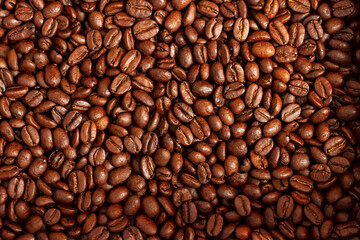 Fototapeta premium Roasted coffee beans texture.