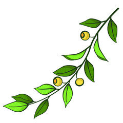 Branch with yellow berries; vector illustration for home decor, menu, stickers, etc.