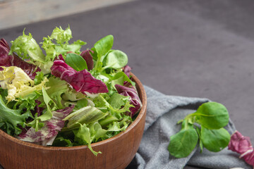 Salad mix leaves background. Fresh salad pattern with rucola, purple lettuce, spinach, frisee and chard leaf
