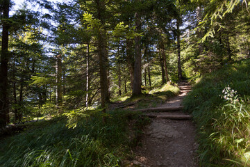 Trail at Herzogstand mountain in Bavaria, Germany