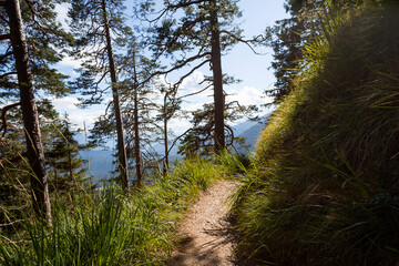 Trail at Herzogstand mountain in Bavaria, Germany