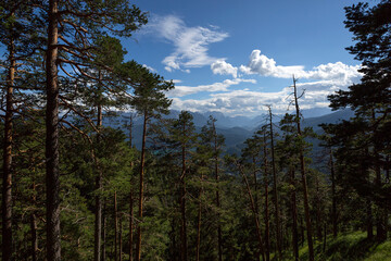 Mountain panorama at Herzogstand mountain in Bavaria, Germany