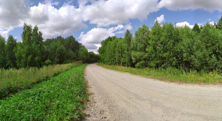 Fototapeta na wymiar The road to the dol of green fields and trees. Blue sky. The road is unpaved. Landscape. Beautiful picture of the countryside. Banner. Panorama