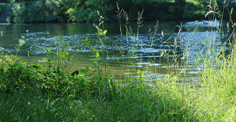 Flussufer
