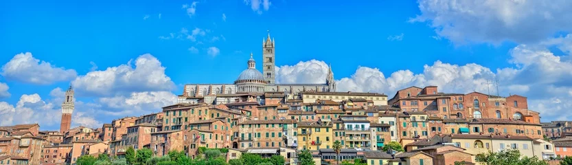 Deurstickers Beautiful panoramic view of the historic city of Siena, Italy. © StockPhotoAstur