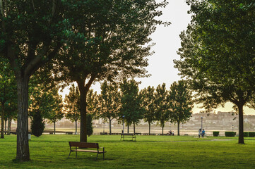 park with benches and trees on a summer day