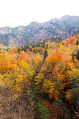 the mountains in the fabulous autumn of Svaneti