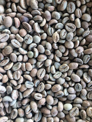 Roasted and dried coffee beans background.