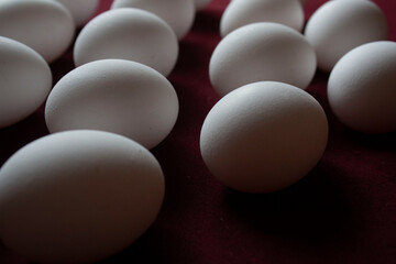 the eggs, on the table, with claret red background