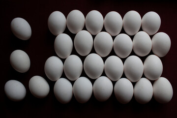 the eggs, on the table, with claret red background
