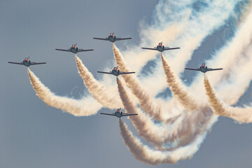 Aircraft CASA C-101 of the Patrulla Aguila