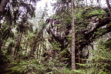 Broumov walls, forested rocky mountains near Broumov city in Czech republic