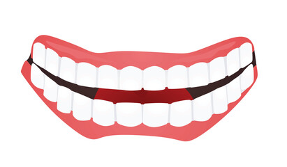 White teeth isolated. vector illustration