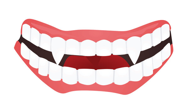 White vampire teeth isolated. vector illustration