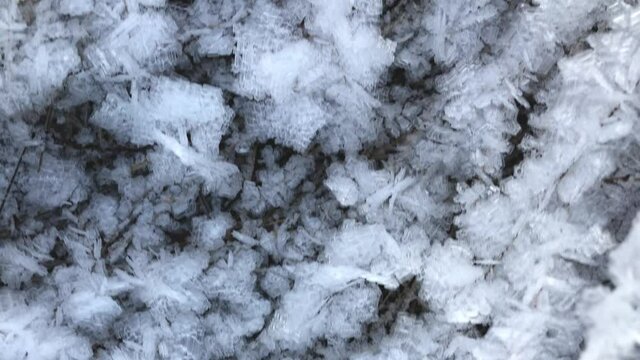 Dry grass covered with frost close up