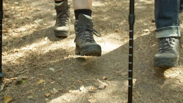 Close Up/ Couple walking through Forest with walking Sticks 