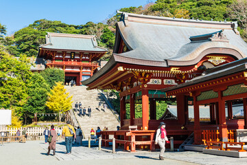 Obraz premium 鎌倉 鶴岡八幡宮