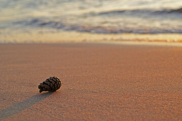 minimal beach landscape
