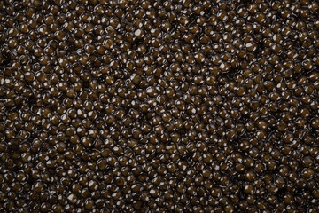 Black sturgeon caviar in a plate on a dark background.
