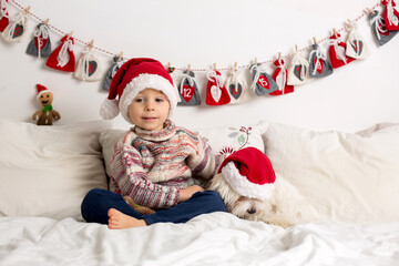 Cute toddler child, holding knitted toy, sitting in bed, playing with pet dog