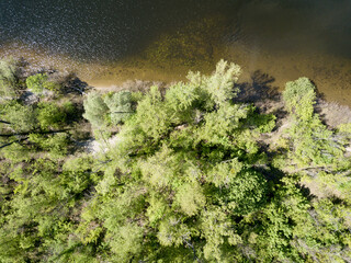 Aerial drone view. River bank on a sunny day.