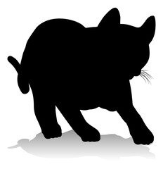 A silhouette cat pet animal detailed graphic