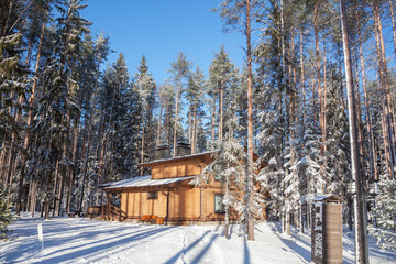 Wooden cottage in a resort village in a winter, sunlit forest among pine trees and fir trees.