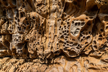 Full-screen close-up of honeycomb weathering of yellow-orange sandstone