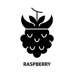 raspberry icon, black vector sign with editable strokes, concept illustration