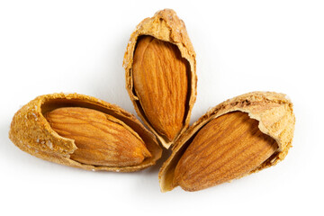 roasted, shelled and salted almonds