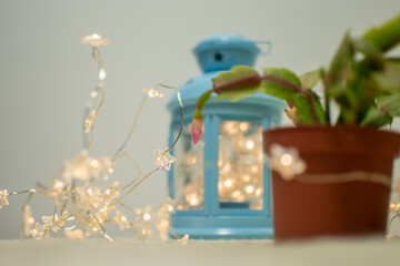 Detail of lightning star surrounded by other christmas lights and christmas zygocactus and blue lantern
