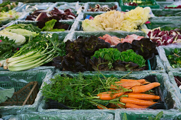 Selling fresh vegetables at the market