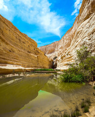 Fototapeta na wymiar The waterfall in the desert