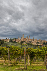 Fototapeta na wymiar San Gimignano, UNESCO site, Tuscany, Italy