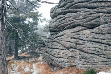 Urige Granitfelsen im Harz