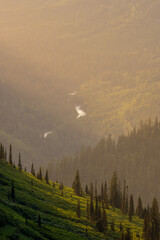 Hazy Light Over McDonald Creek in Valley
