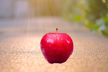 Red apple sunlight orange as background